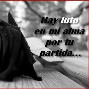 Meet your Posher, Dora